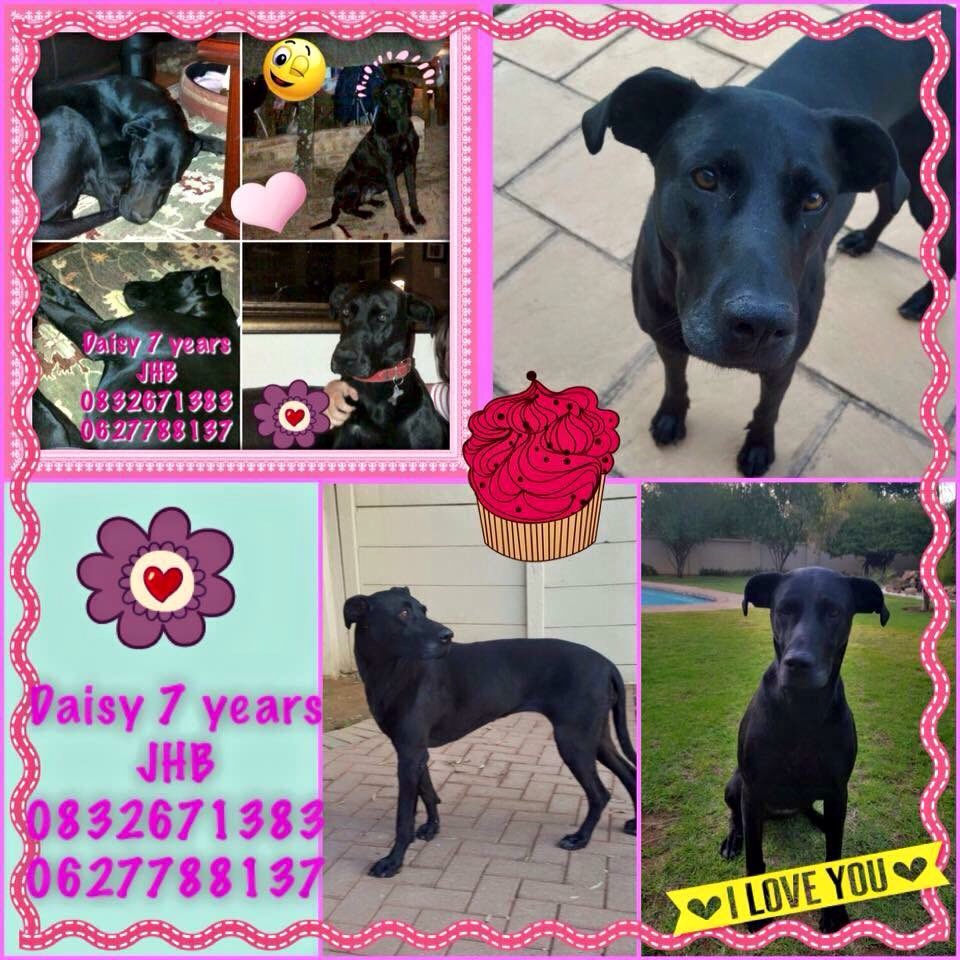 I am still looking for a home. Please RT