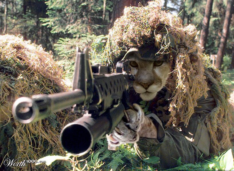 CougarHypeSquad's tweet photo. WHITEOUT tonight @ Reston. We play Chantilly and it's the playoffs! You know what that means.  #seasonkillers #8PM https://t.co/A2yT4JHmSS