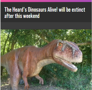 dallasnews tweet picture