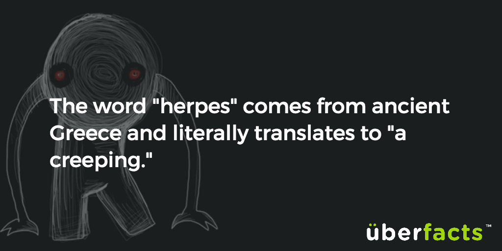UberFacts tweet picture