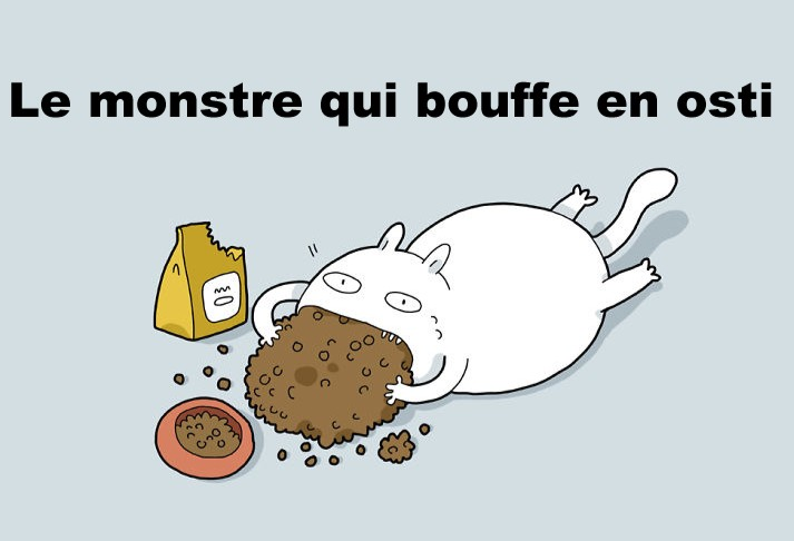 Mon_toiletteur tweet picture