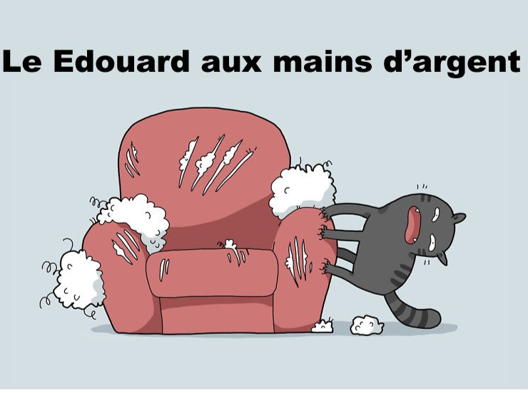 Mon_toiletteur tweet picture