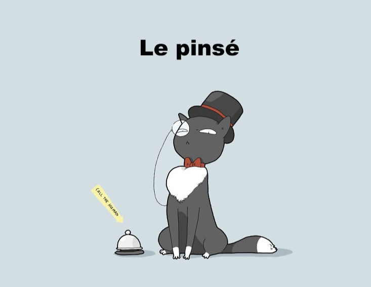 Mon_toiletteur tweet picture