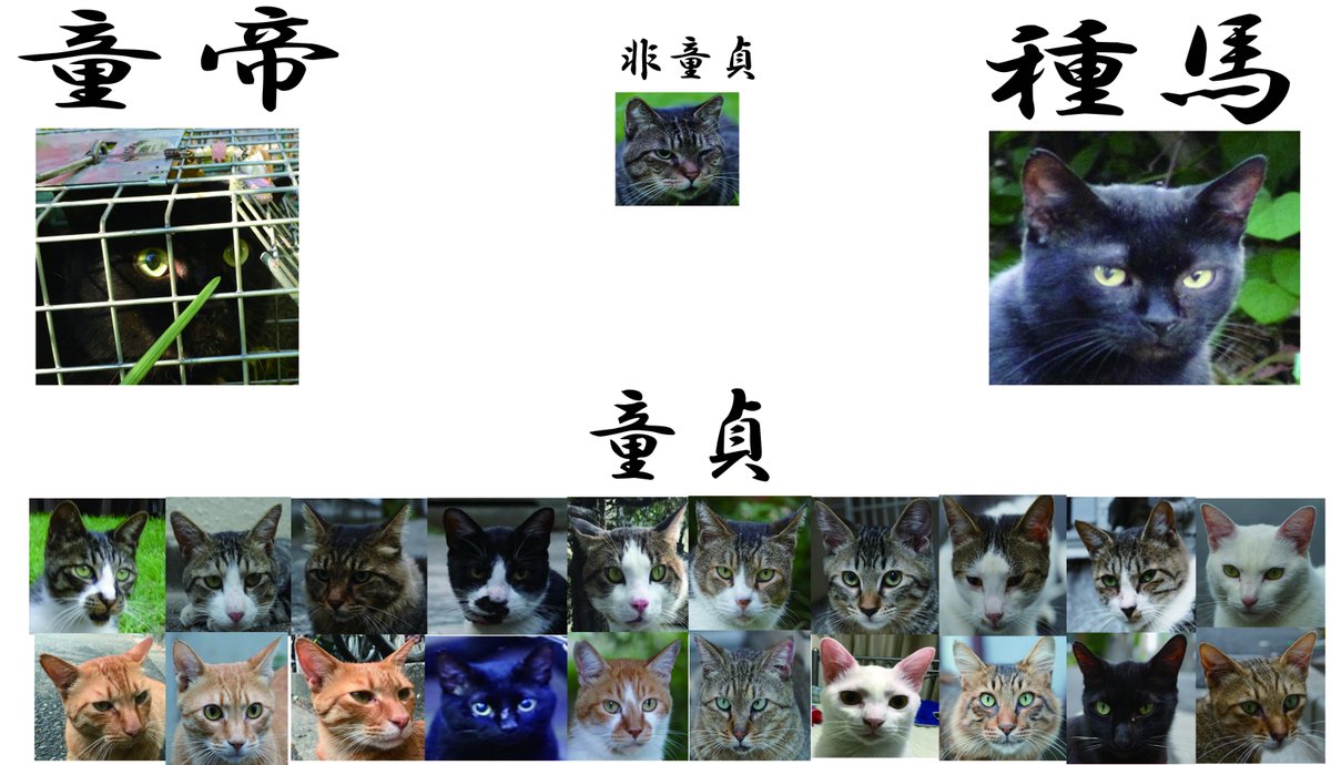 ねこかます 動画素材の中に 童貞一覧 Jpg ってファイルがあったからなんだっけと思ったら前に童画で使ったこれだった T Co Cz5omf3ka7