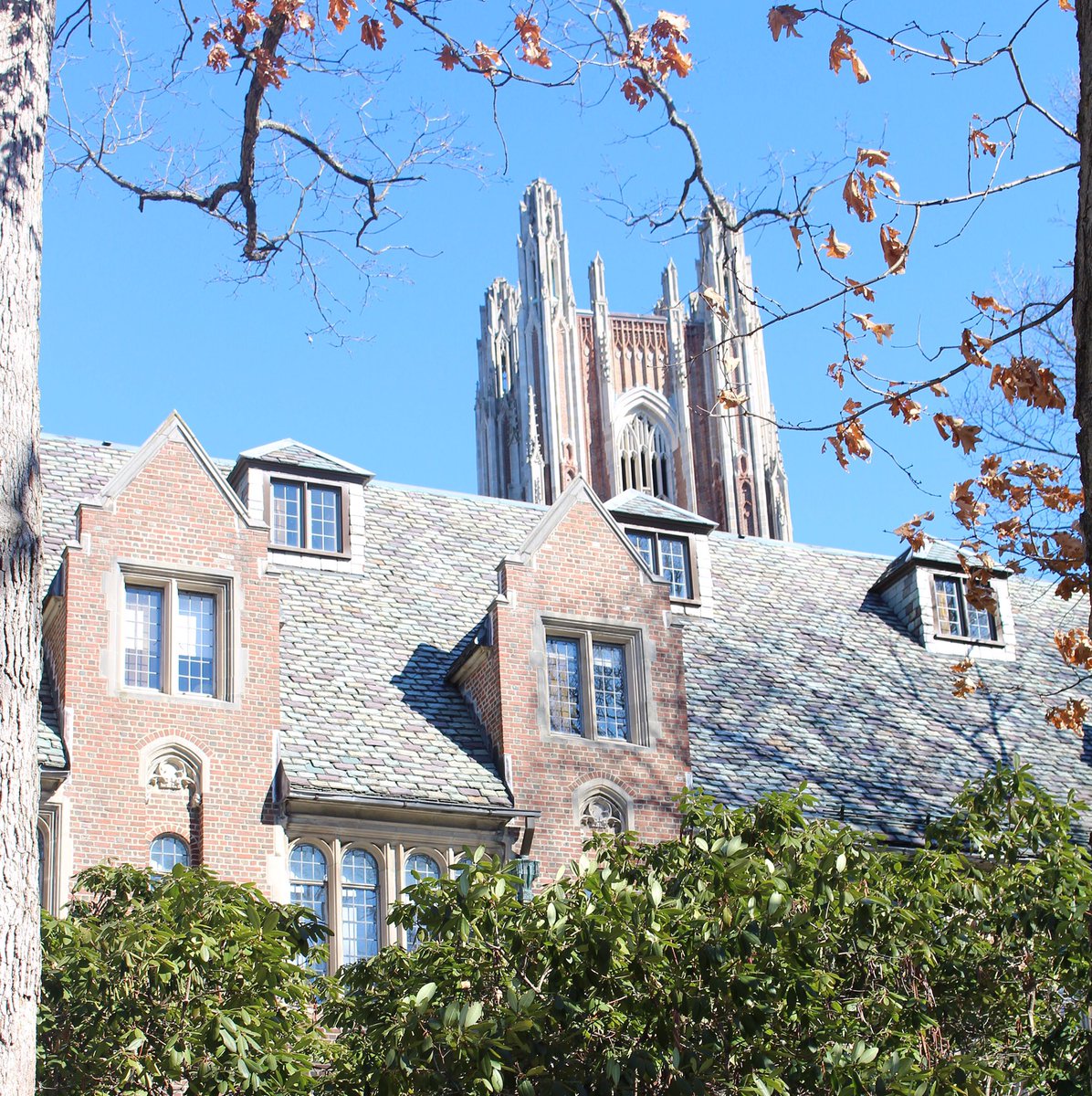 Wellesley College tweet media