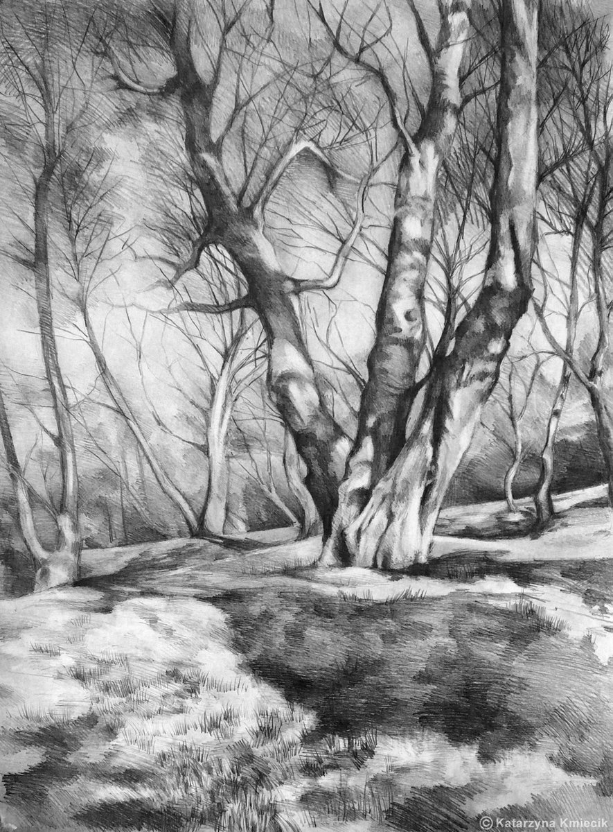 K_KmiecikART's tweet photo. First #drawing of #trees that I'm pround of (2007). Available as a #print https://t.co/w9IAuIn6Jp #pencil #sketch https://t.co/klVBvytUjX