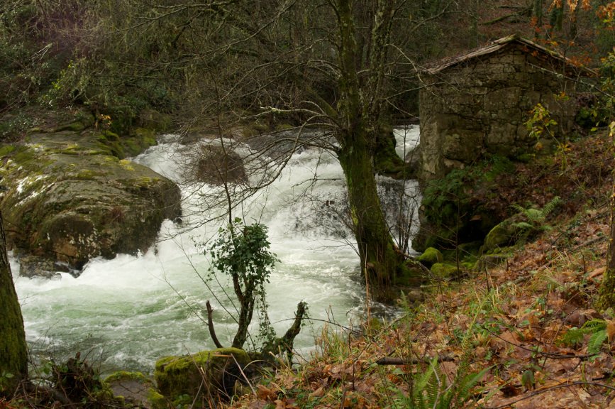 Coñeces os muíños da corga do Medio (Entrimo)? 
Coordenadas: 41°55'13.7"N, 8°08'35.6"W