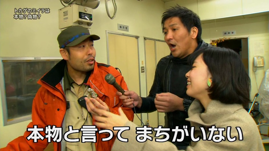 迷彩野郎 Ar Twitter 頭が2つ尻尾が3つ 2万円で購入したトカゲのミイラが本物 博物館級 突然変異で頭だけ2つ 尻尾だけ3つはあるが 同時ってのがスゴイんだって 探偵ナイトスクープ 爬虫類 博物館 T Co Qmmhoreynw 迷彩野郎 Ar Twitter 頭が2つ尻尾が3つ 2万円で購入したトカゲのミイラが本物 博物館級 突然変異で頭だけ2つ 尻尾だけ3つはあるが 同時ってのがスゴイんだって 探偵ナイトスクープ 爬虫類 博物館 T Co Qmmhoreynw