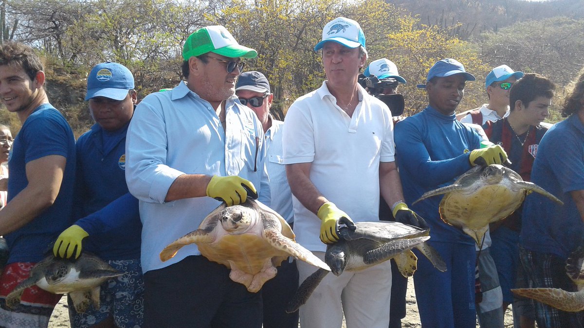 CORPAMAG's tweet photo. Corpamag y Acuario del Rodadero realizaron liberación de 8 tortugas y 9 tiburones con participación niños de Gaira https://t.co/hJG75Pd01O