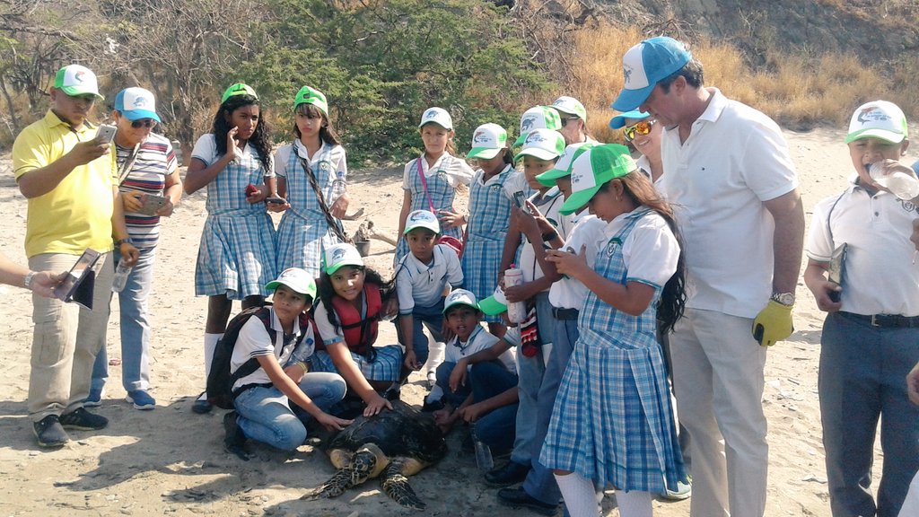 CORPAMAG's tweet photo. Corpamag y Acuario del Rodadero realizaron liberación de 8 tortugas y 9 tiburones con participación niños de Gaira https://t.co/hJG75Pd01O