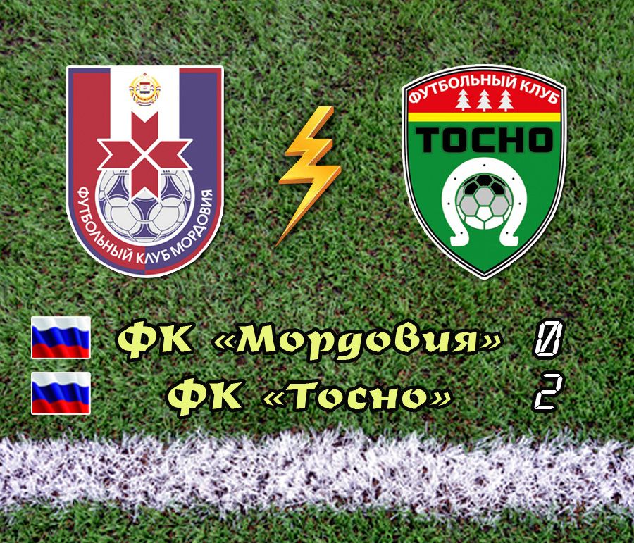 дневник ленинградской тосно