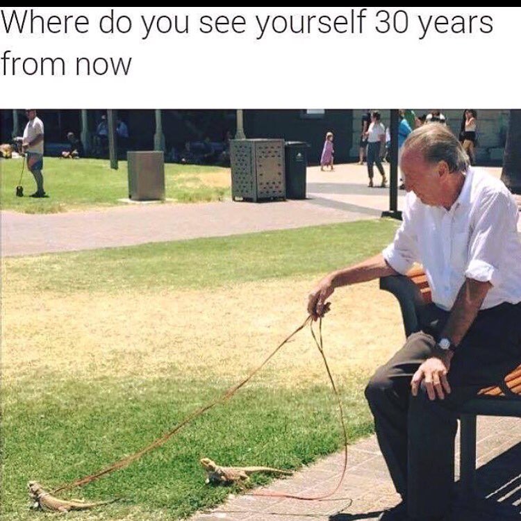 lenamchartrand's tweet photo. @lizard_Bernard Bwahahaha....lol 😂🐲🐲 #oldage #beardeddragon #leash #walk #wouldneverdothat 🐲🐲😂 https://t.co/lichLUn1WS
