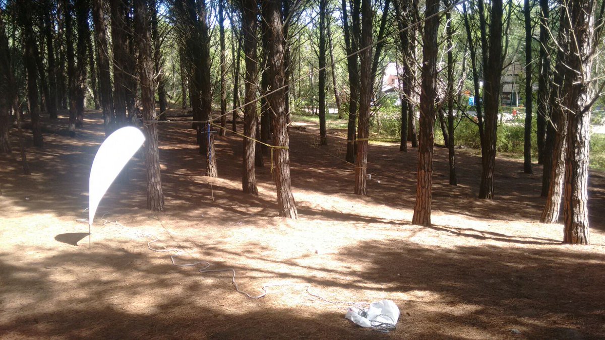 EventosAnimar's tweet image. Preparando la actividad del bosque en Cariló!