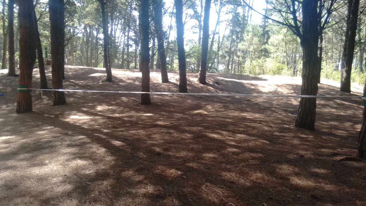 EventosAnimar's tweet image. Preparando la actividad del bosque en Cariló!