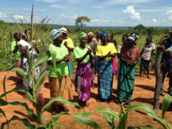 theblacklist's tweet image. READ: Coffee, Gender Equality, and Africa | Buena Vista Roastery j.mp/20ITbPS #Zimbabwe @bvroastery