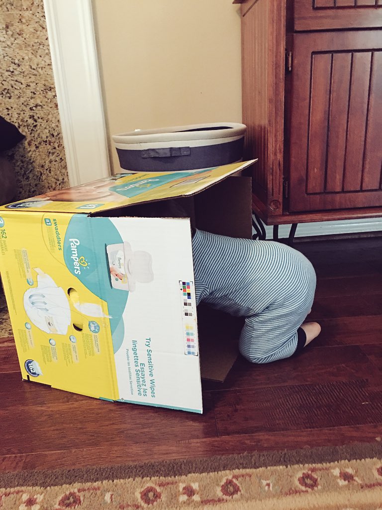 Rachel Sanders tweet media