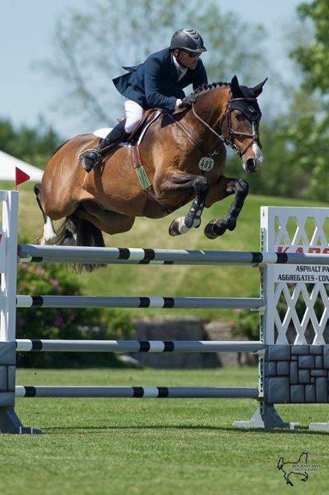 OMG I get to ride this horse tomorrow. Freaking. Thank you <a href="/StruckApparel/">Struck Apparel</a> &amp; <a href="/Letterperfecteq/">Jacquie Wickens</a> I LOVE U #dreamcometrue