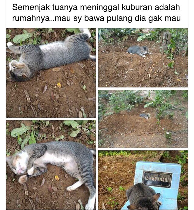 Baroindra's tweet photo. Kok sweeet yaaaaaa :( https://t.co/oUWBtxxZvL