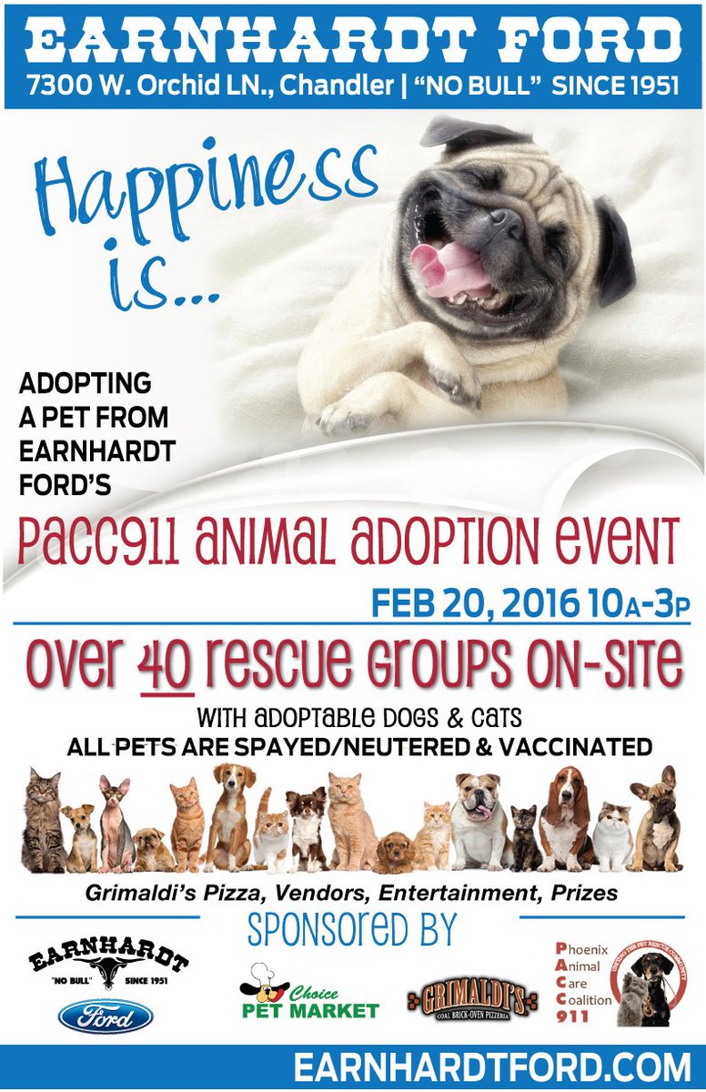 Tomorrow you'll find us with 40+ other rescues at Earnhardt Ford in Chandler.