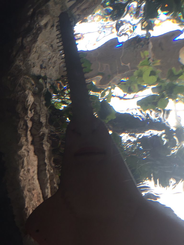 ScienceAquatic tweet picture