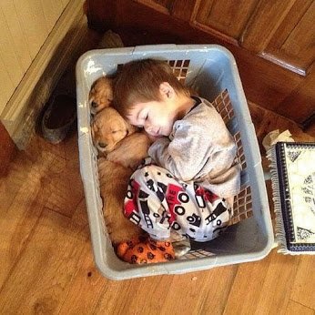 Tibro Medical tweet media