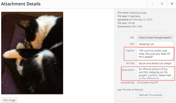 sewatch's tweet photo. How to optimize images for SEO. https://t.co/JdhL9ydr5z https://t.co/fnib11Oa4e