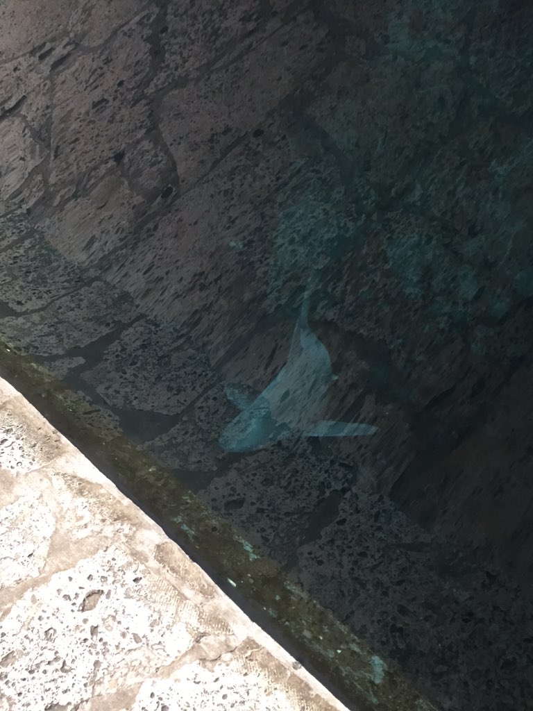 ScienceAquatic tweet picture