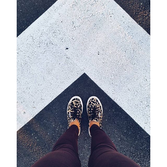 Superga IT tweet media