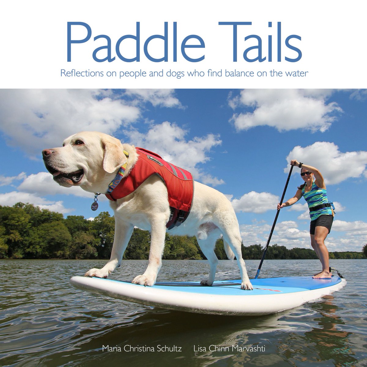 SUPwithPUP's tweet photo. Read the first chapter of our new book Paddle Tails! https://t.co/oeJh1qHqCZ https://t.co/ri0VdLjNJu