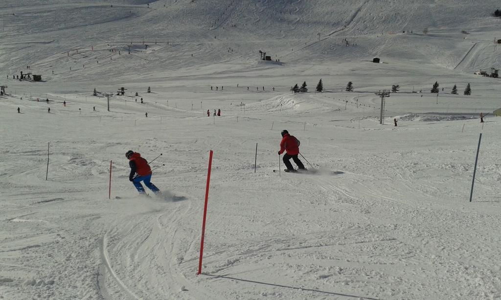 JuniorFreemens's tweet photo. Junior school ski trip 2016 - even Mr Holmes and Mr Buhagiar had a race #CLFSski2016 https://t.co/bdWkPi3iHS