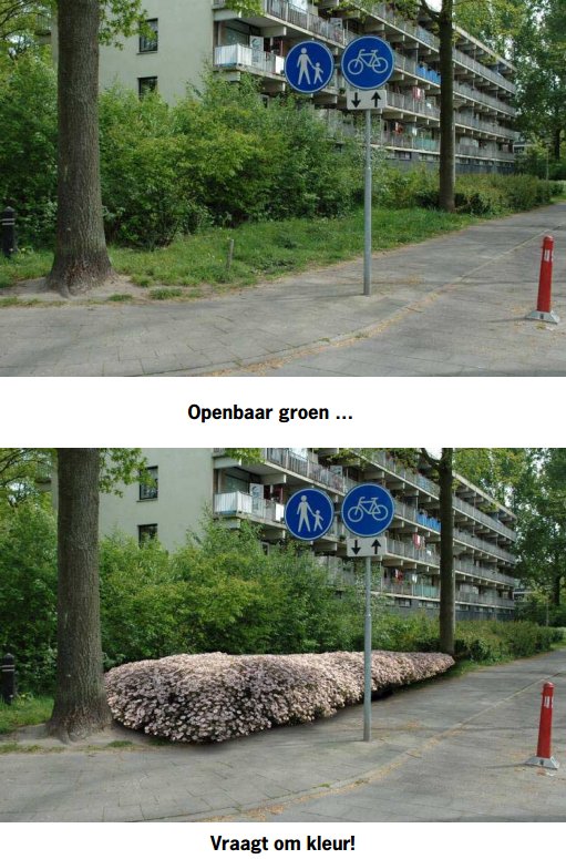 Meer kleur in #openbaargroen met #vasteplanten. Goed voor de #biodiversiteit skybird.nu/Rx1U9o via @PPOBBF