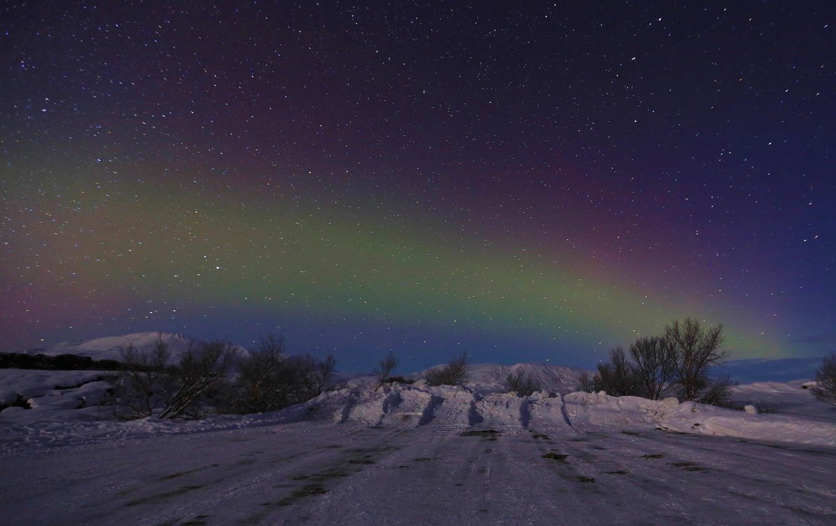 It is Friday so let us leave you with a wonderful picture from our last #NorthernLightsChase #Trex Góða Helgi ;)