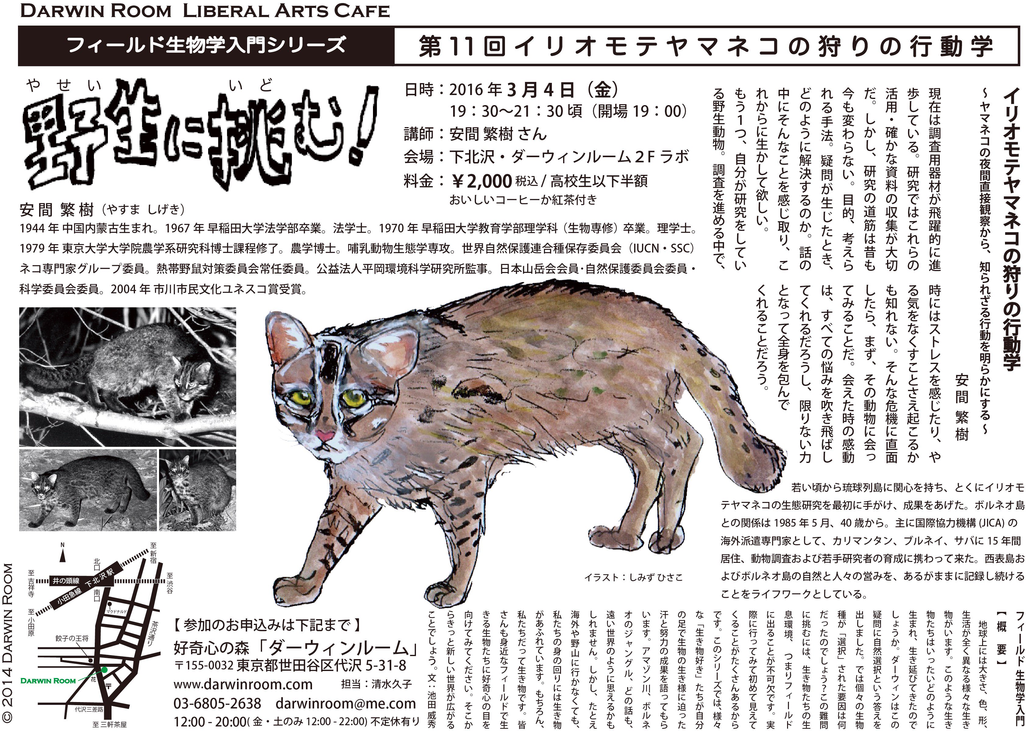 Darwin Room お知らせ フィールド生物学入門 第11回 イリオモテヤマネコの狩りの行動学 ヤマネコの夜間直接観察から 知られざる行動を明らかにする 西表島とボルネオ島における野生動物の生態調査 研究の第一人者安間繁樹さんをお迎えします T Co