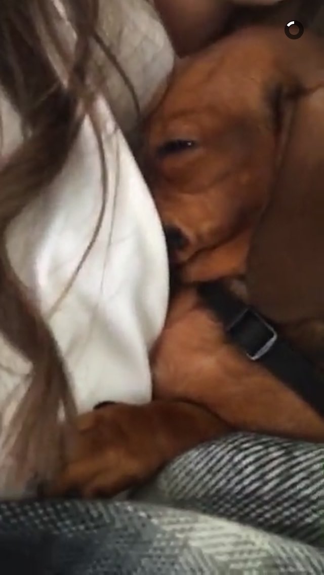 Tanya Bakes tweet media