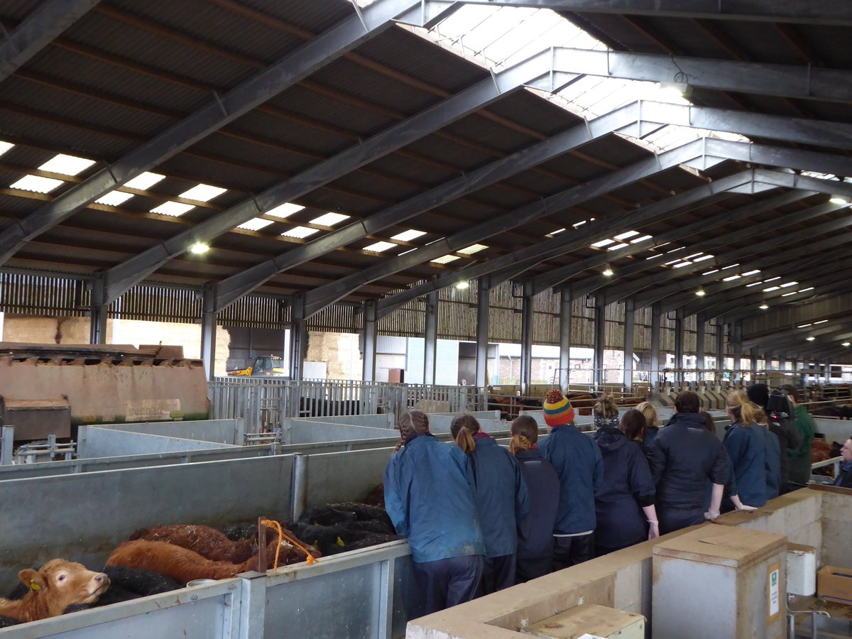 Put 6 March in your diary @BBCCountryfile prog on Vet safety - filmed <a href="/SRUCResearch/">SRUC Research</a> with <a href="/TheDickVet/">The Royal (Dick) School of Veterinary Studies</a> students!