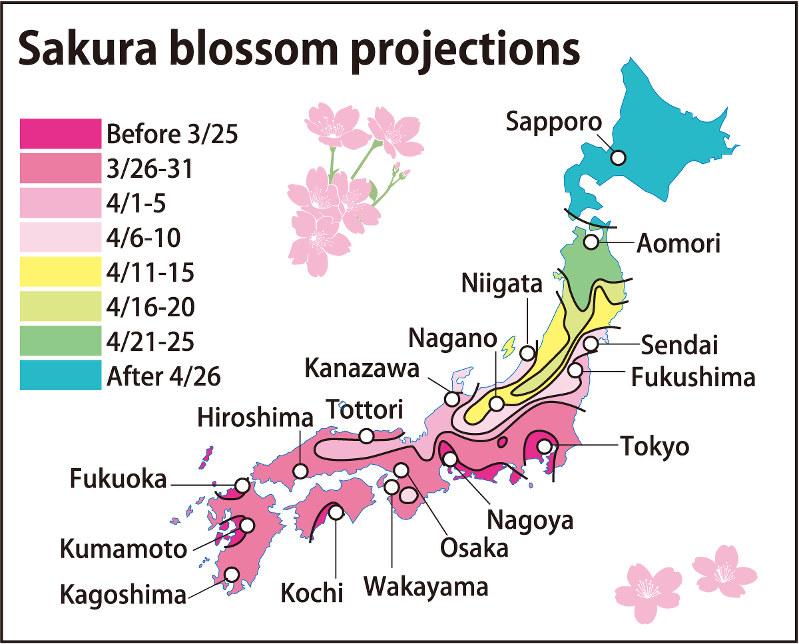 Trending: 2016 cherry blossom season projected for early March 21 start - The Mainichi mainichi.jp/english/articl…