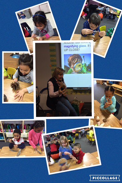 Mrs. Spranger brings her nature magic to the classroom. #PHESbulldogs <a href="/APSHenryPAL/">Annie Turner</a> @APSscience @APS_HankHenry
