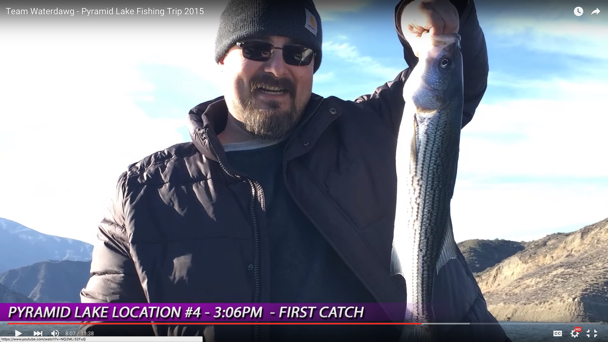 2AnglersofSocal's tweet photo. This would have been a great fish if it weren't so skinny. I felt like buying her a hamburger!!! https://t.co/7IAtUEDyBU