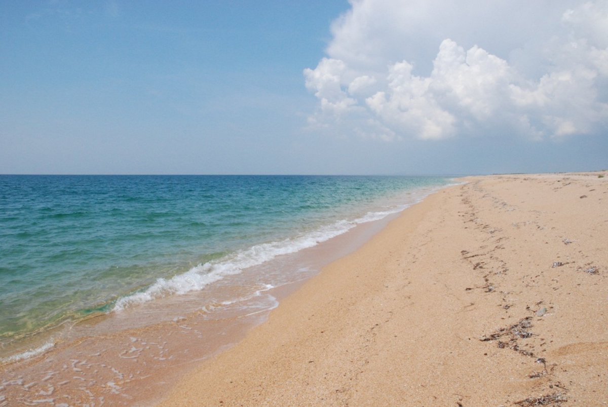 EmblasProject's tweet image. Our project&apos;s signature photo, courtesy of Vasiliy Kostiushyn.