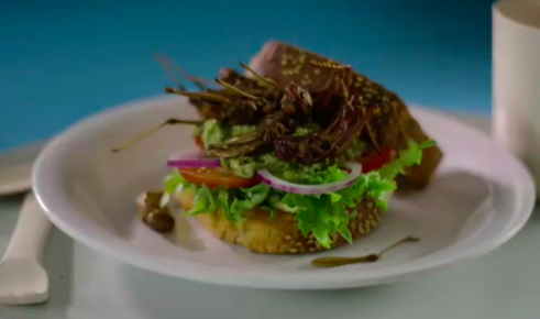 adage's tweet photo. Why are Swedish school kids eating bugs on a bun? https://t.co/QlYLKvlH6h https://t.co/A1UGh9EMmH