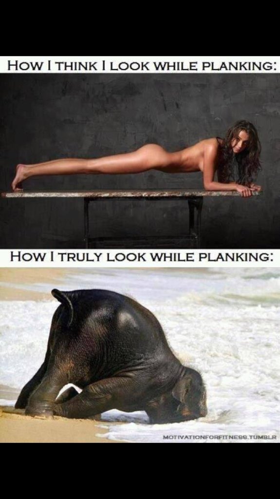 jarvis_gemma's tweet photo. π 5 days off the gym #feelingfrumpy https://t.co/idk7jFluYe