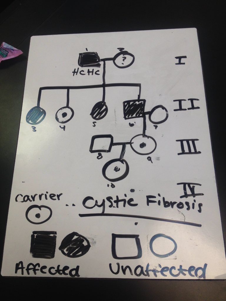 alishas_LHS's tweet photo. @beckerman_lhs  #LHSgenetics #advbio4 https://t.co/MNSEeztlNL