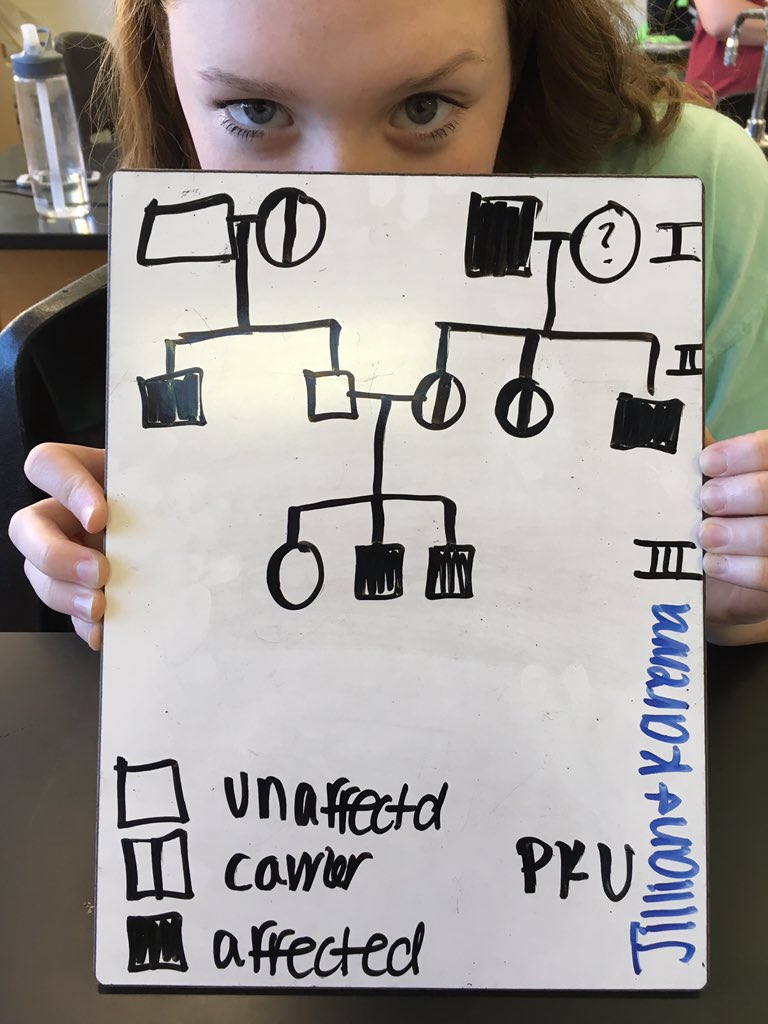 KarennaP_LHS's tweet photo. #LHSgenetics @beckerman_lhs #advbio4 https://t.co/iLI3ngopb3