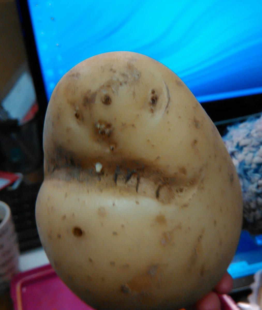 MikeLiggins's tweet photo. BREAKING: Photo from @BBCLookEast viewer Lawrence Welham in Norfolk. Potato which looks like a great white shark... https://t.co/78fWy8CKg4