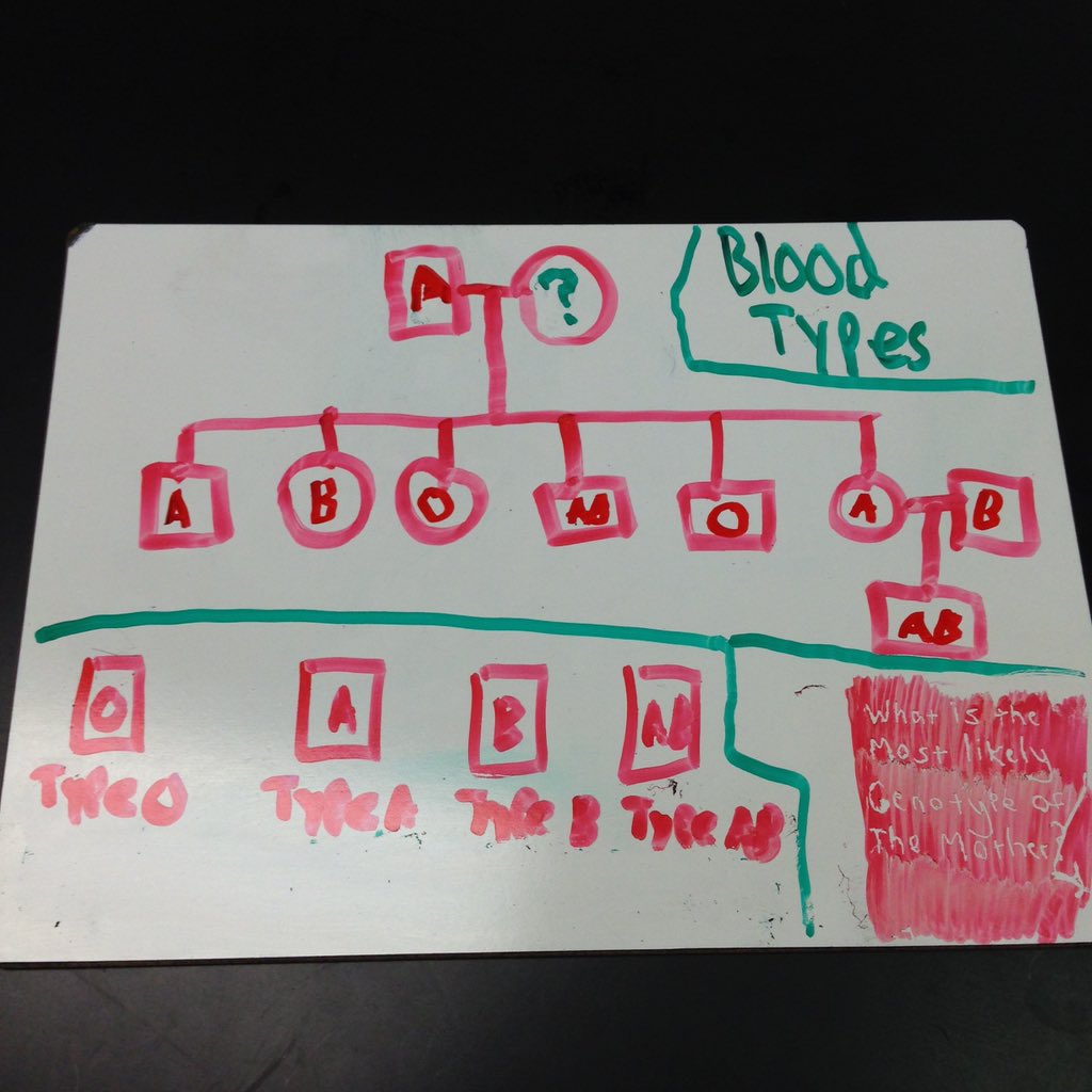 AndrewandLHS's tweet photo. #advbio4
#LHSGenetics
@beckerman_lhs https://t.co/276uM5x9SV