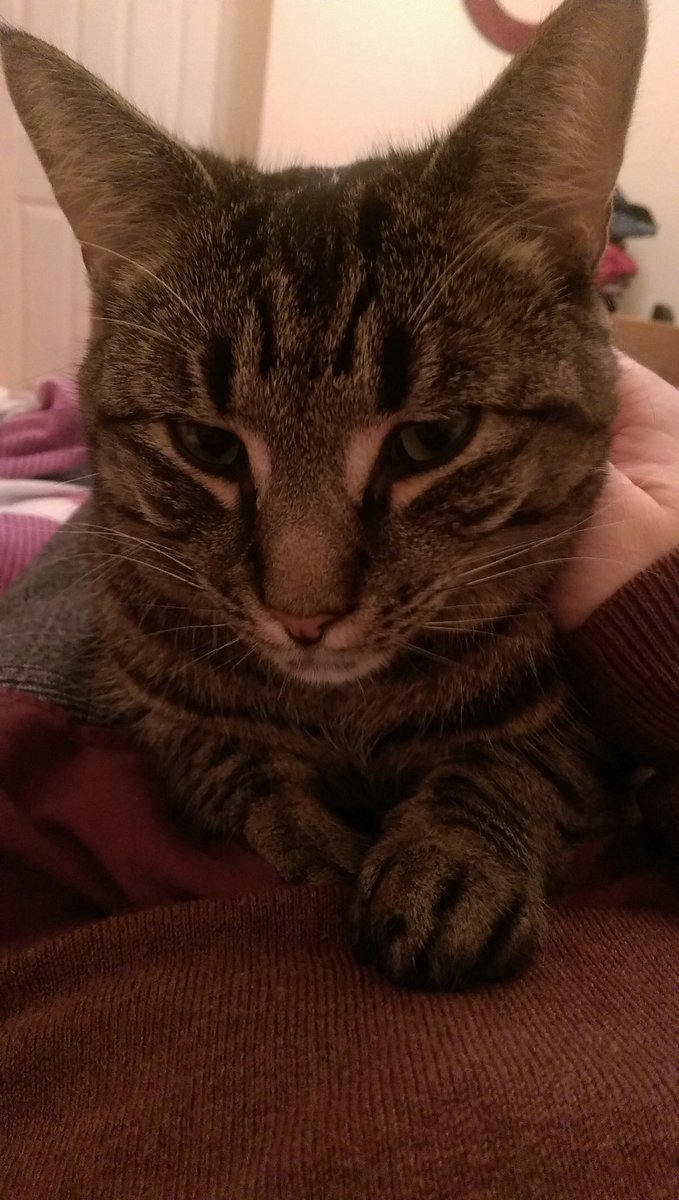 Paul Burke tweet media