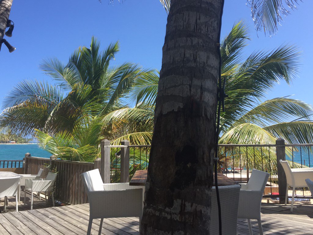 Zoejacolin's tweet photo. #ConDeCocotierQuiGacheLaVue #MangerBronzerDormirMangerBronzerDormir https://t.co/B1Oi8ZlXQh