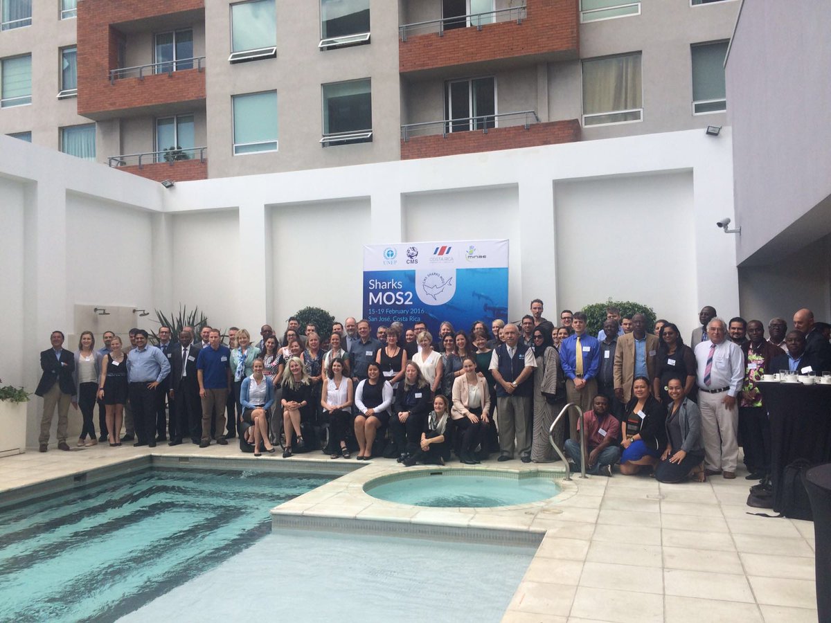 rafaelmongecr's tweet photo. #SharksMOS2 Group photo
Foto de grupo de la 2da Reunión del Memorando de Entendimiento #tiburones #Time4Sharks https://t.co/cvC9bzyvL7