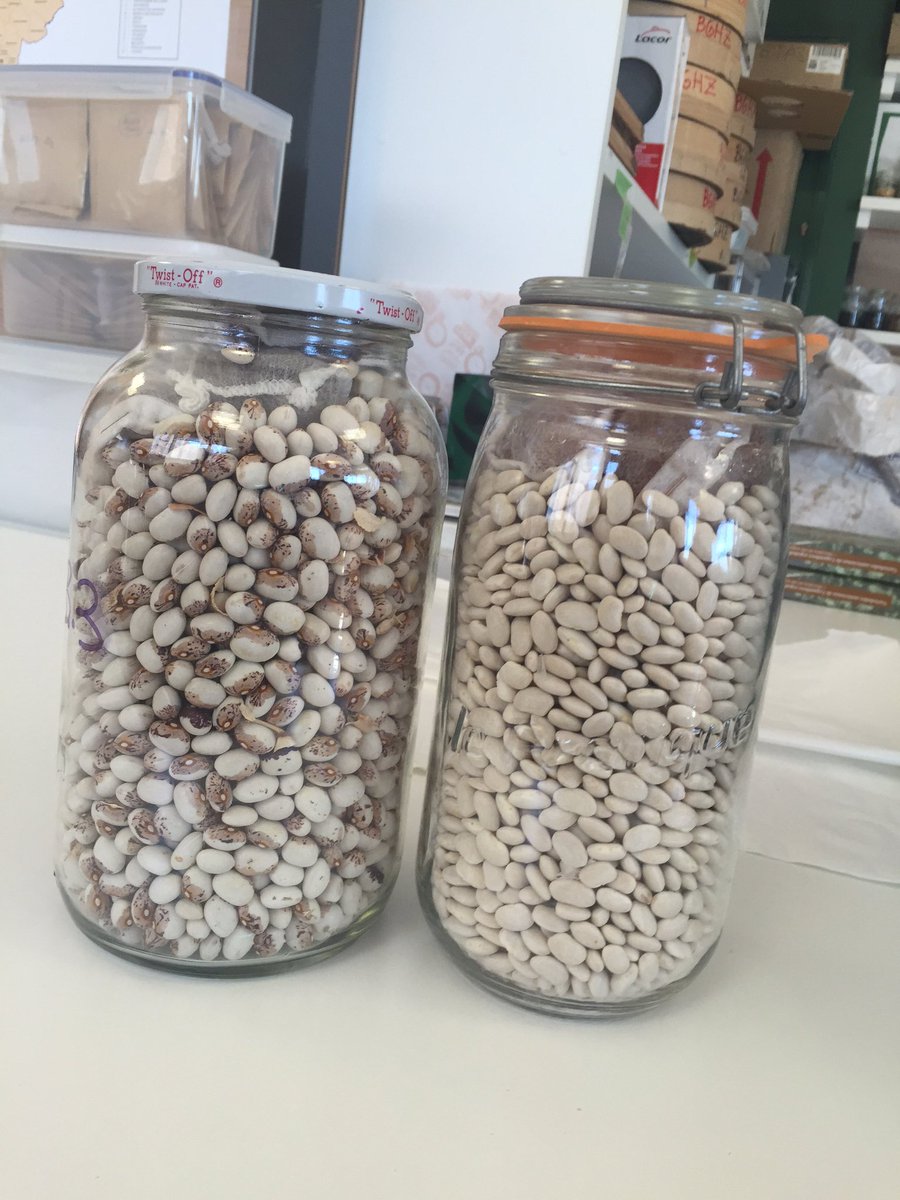 slowfoodZGZA's tweet photo. Judía Caparrona de Monzón y judía del Recao de Binéfar. Dos judias clásicas a recuperar Año internacional legumbres. https://t.co/DPnz2iF1D5