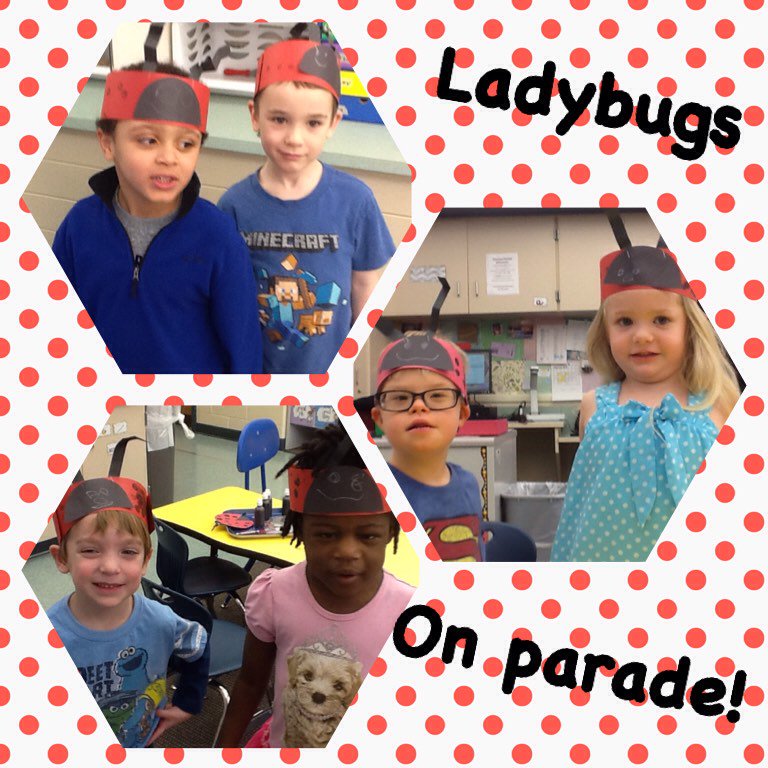MissWallaceWMES's tweet photo. @SmokyRow1 the ladybugs are on parade! #InsectUnit https://t.co/LZxGVFIoOC